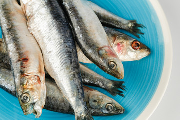 sardinen