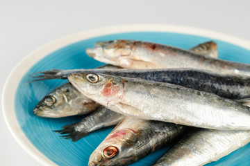 sardinen