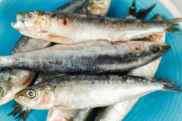 sardinen