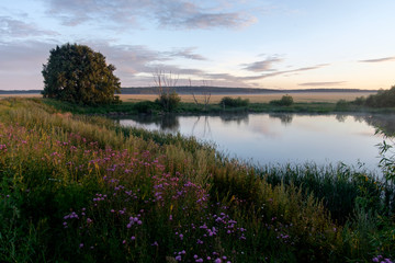 summer evening landscape on the lake