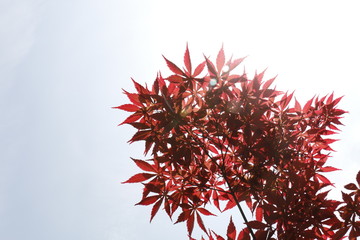 Naklejka premium China. Hubei jingmen. Huang Xian hole