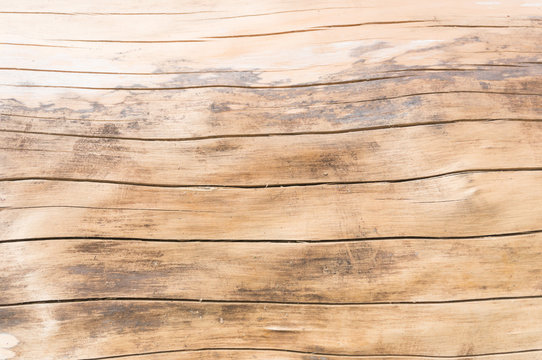 stripped tree bark with parallel cracks texture 