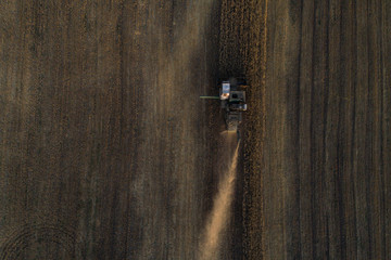 Harvester machine working in field . Combine harvester agriculture machine harvesting golden ripe wheat field. Agriculture. Aerial view. From above.