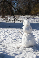 Snowman on snow and branches in winter