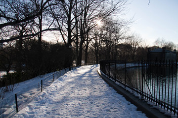 Silhouette of trees on snow and walkway near fence at park