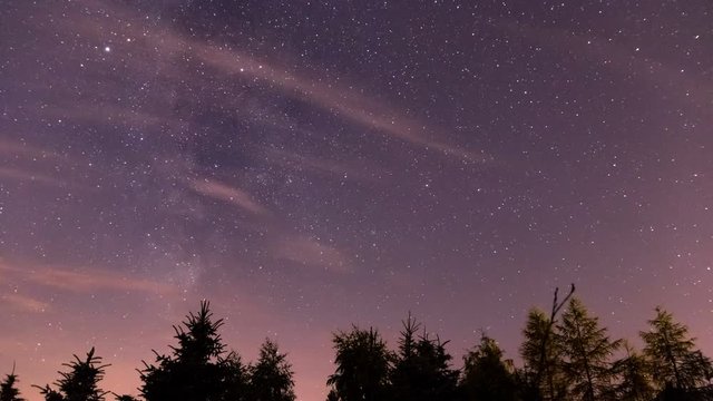 Stars and milky way moving on a night sky above the forest time lapse.