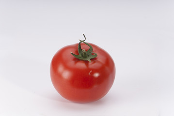 white background tomato