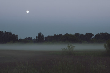 mysterious summer landscape image cold morning fog on rural area