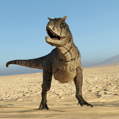 Fototapeta premium carnotaurus casual picture on desert
