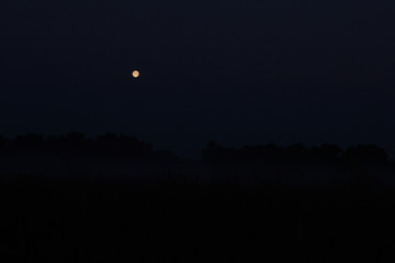 fool moon in early morning landscape