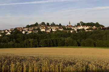 Fototapete bei efototapeten.de bestellen   