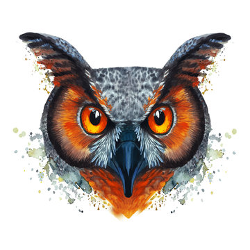 A drawing of a night owl, painted by watercolors, an owl with a bright coloring, orange bloody eyes