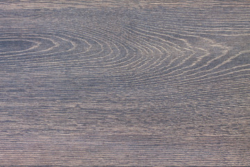 Oak wood texture. Top view.