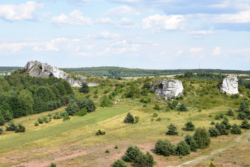 Skałki na Jurze Krakowsko-Częstochowskiej: Szafa, Biblioteka, Dziewica, Owczy Grzbiet © shake_pl