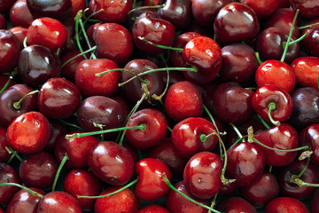 Cherry background, sweet red cherries