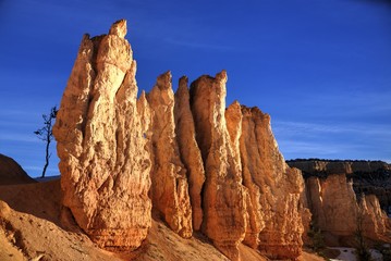 Bryce Canyon Hoodoos in Early Morning Light