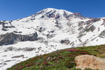 Mount Rainier, Washington