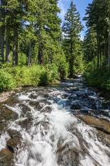 River in Mount Rainier National Park