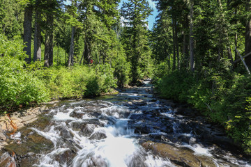 River in Mt Rainier National Park