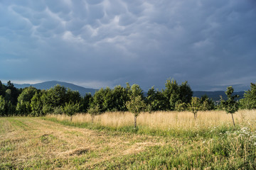 Obraz premium Wolkengebilde
