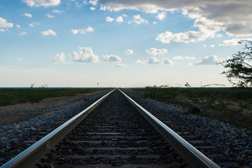 Railroad track converging at the horizon