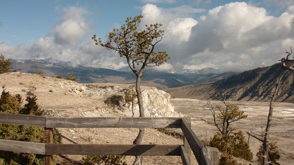 Mammoth hot springs (sources chaudes du mammouth) parc national de  Yellowstone