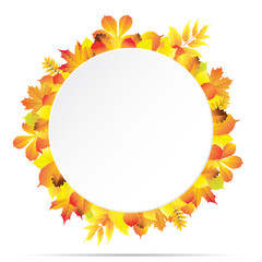 White round paper banner surrounded with different autumn leaves. Vector illustration.