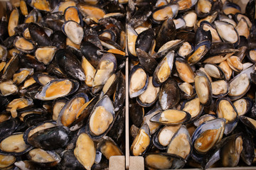 Obraz na płótnie Canvas Frozen mussels in fish supermarket