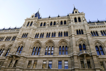 Fototapeta na wymiar vienna city hall