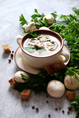 Fresh mushroom soup with green parsley, bread and pepper