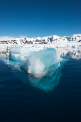 Icebergs along the Antarctic Peninsula