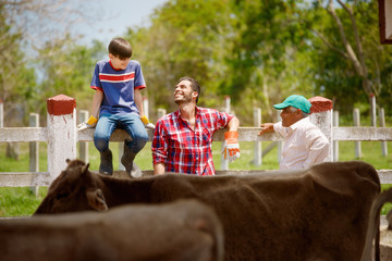 Three Generations Family Of Farmers Laughing In Farm