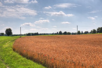 Fototapete bei efototapeten.de bestellen   