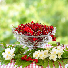 Red currant in a glass vase and jasmine flowers. Blurred green background.