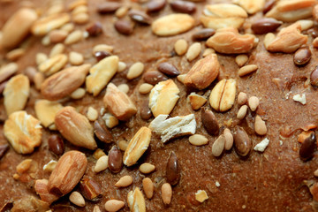 Whole grain sandwich, closeup