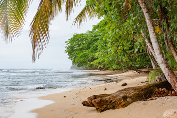 Tropical paradise beach Costa Rica