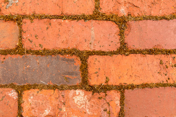 bricks