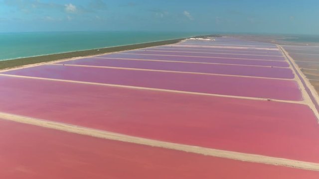 AERIAL Flying above the spectacular pink lakes of Las Coloradas. Beautiful salt pans stretching to the turquoise ocean. Picturesque landscape of the Gulf of Mexico with colorful salt evaporation ponds