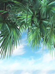 Naklejki  Liście palmy 3D na tle błękitnego nieba