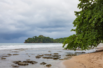 Beach forest and storm sky