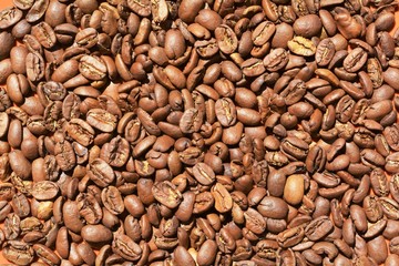 old coffee beans on a brown background