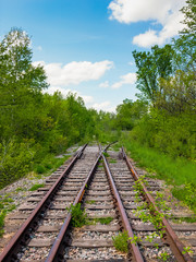 Obraz premium Diverging track choice concept