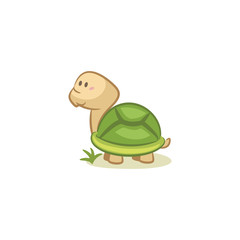 Tortoise