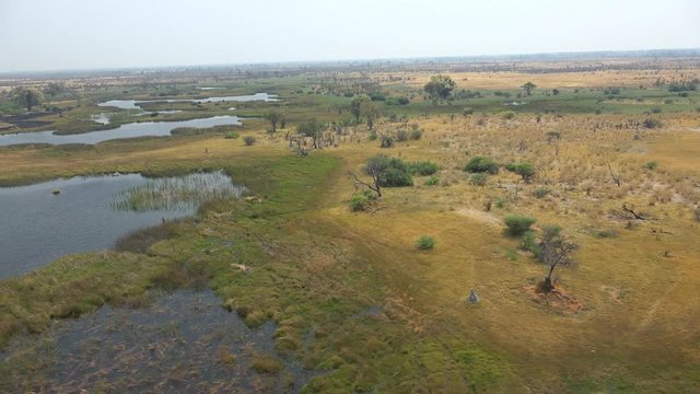 Flying abobve the Okavango Delta (Botswana; 4k footage)