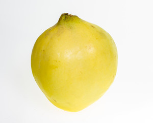 Quince fruit isolated on white