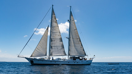 Fototapeta premium Bateau a voile