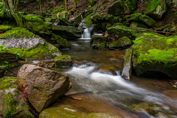powerful creak with cascade in green forest