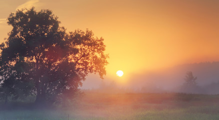 Fototapeta na wymiar Misty summer sunrise