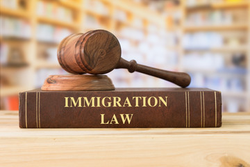 immigration law - obrazy, fototapety, plakaty