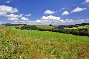 Fototapeta premium Green field under blue sky
